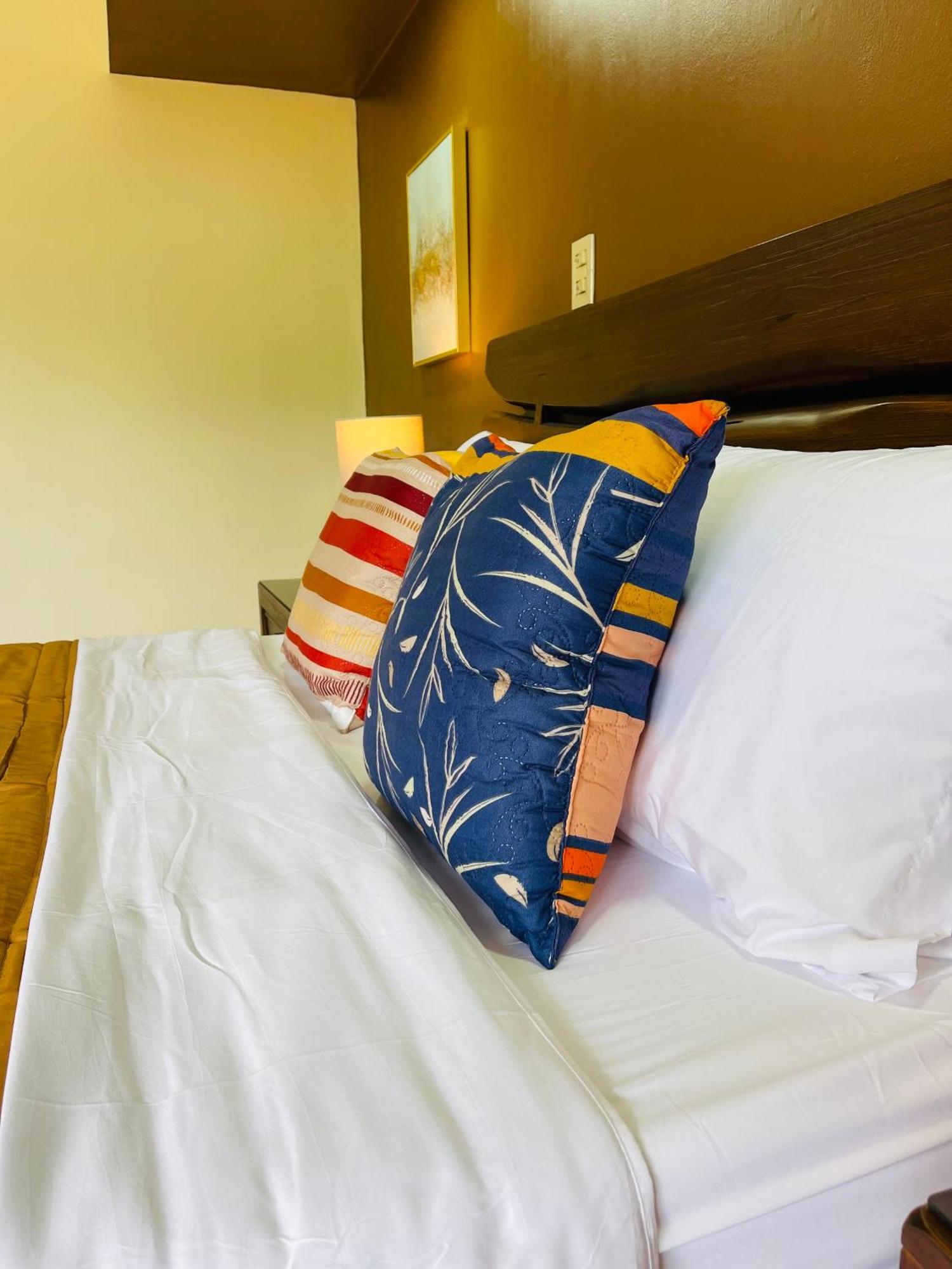 The Rainier Bed & Breakfast 5 ซานโฮเซ ภายนอก รูปภาพ